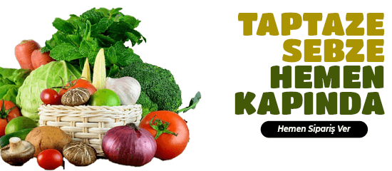 Başlıksız-2 Başlıksız-2