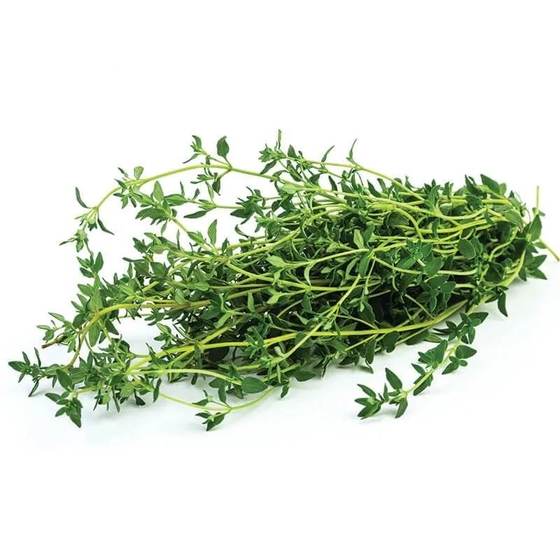 greenadakekik-thyme-5f71