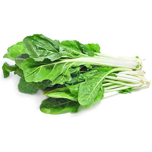 Pazı Ad.